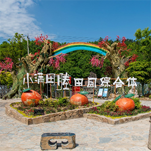探索庐江杨家墩VR全景