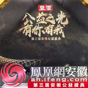 安徽公益盛典：凤凰VR全景直击